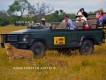 1303170801 - 000 - southafrica kruger malamala jeep